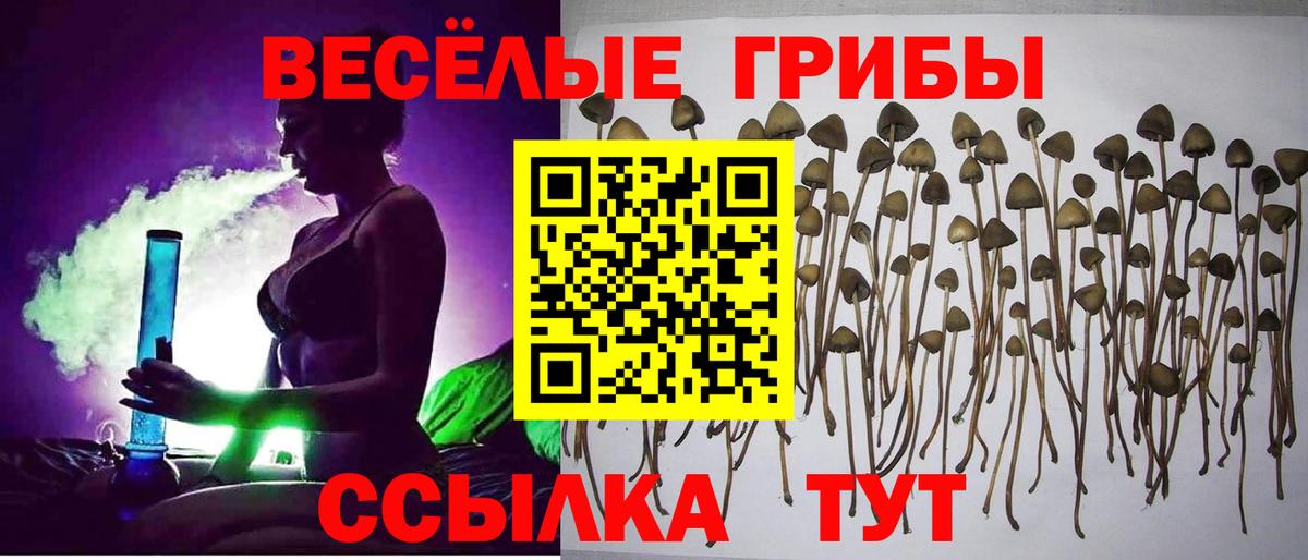 Псилоцибиновые грибы Magic Shrooms Майкоп